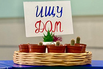 ИНСИТ» подарил частичку домашнего уюта: раздали кактусят